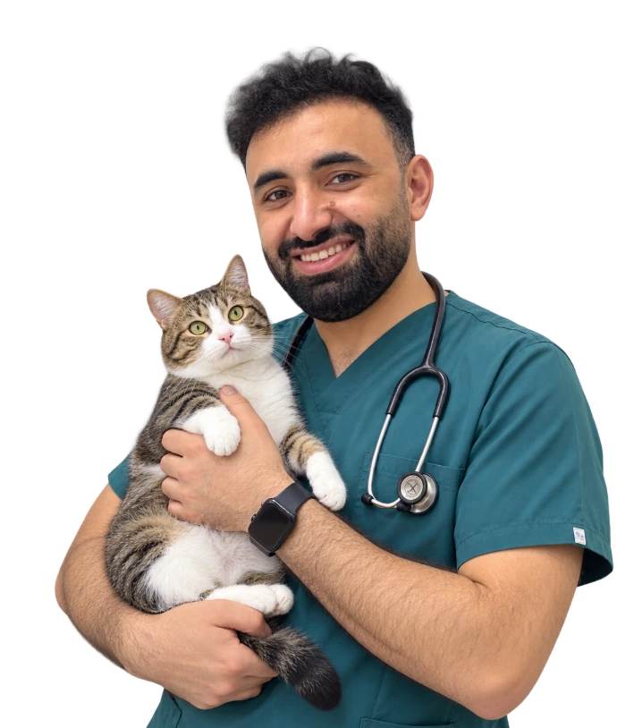 Veteriner Hekim Ramazan Ergin