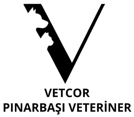 pinarbasi